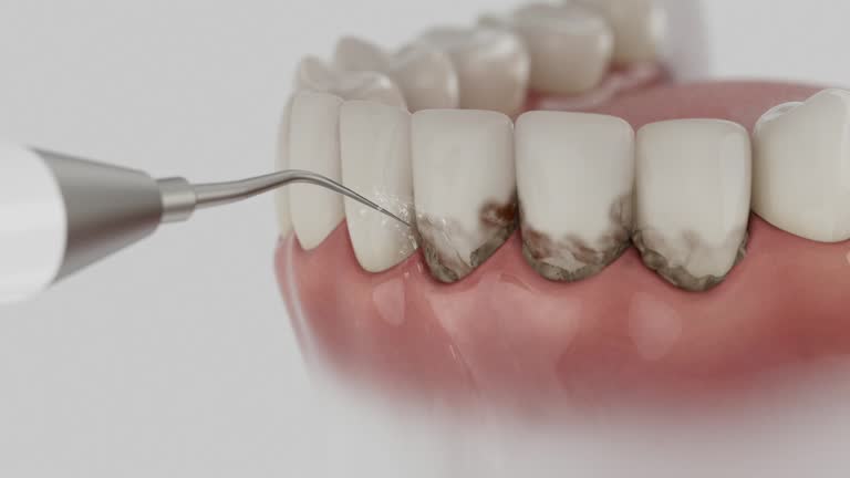Reliable Dental contractor in College Station, TX by Dentist Open Now